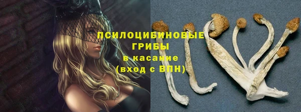 каннабис Горно-Алтайск