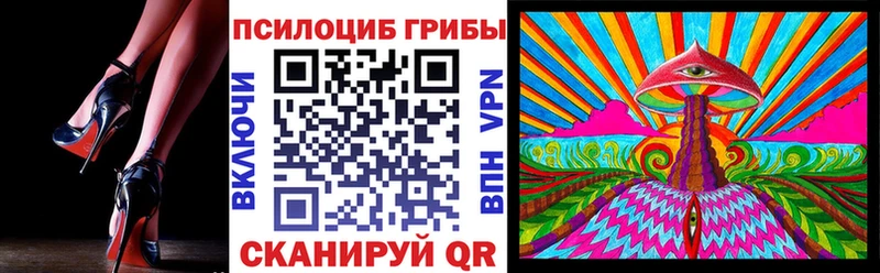 Купить где  Кемерово  Псилоцибиновые грибы Cubensis 
